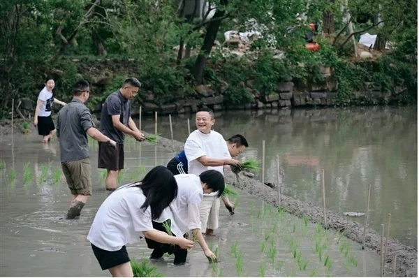 水田插秧之后 马云低调现身麻省理工和哈佛大学